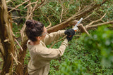 STIHL GTA 30 med 2x AS 2 batteri og 1x AL 5-2 oplader